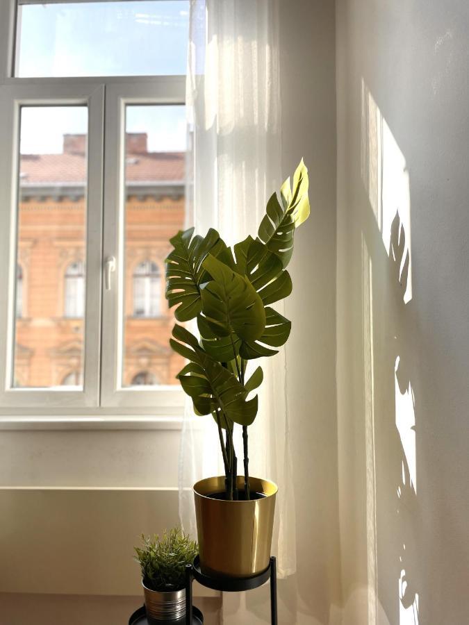 Eotvos 25 Apartment ブダペスト エクステリア 写真