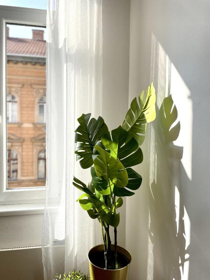 Eotvos 25 Apartment ブダペスト エクステリア 写真